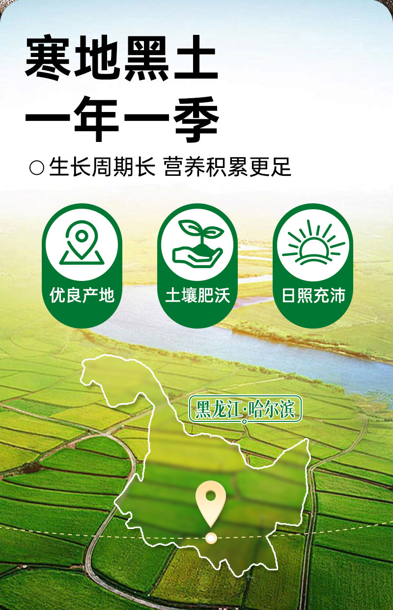 东北黑米 · 详情图 7