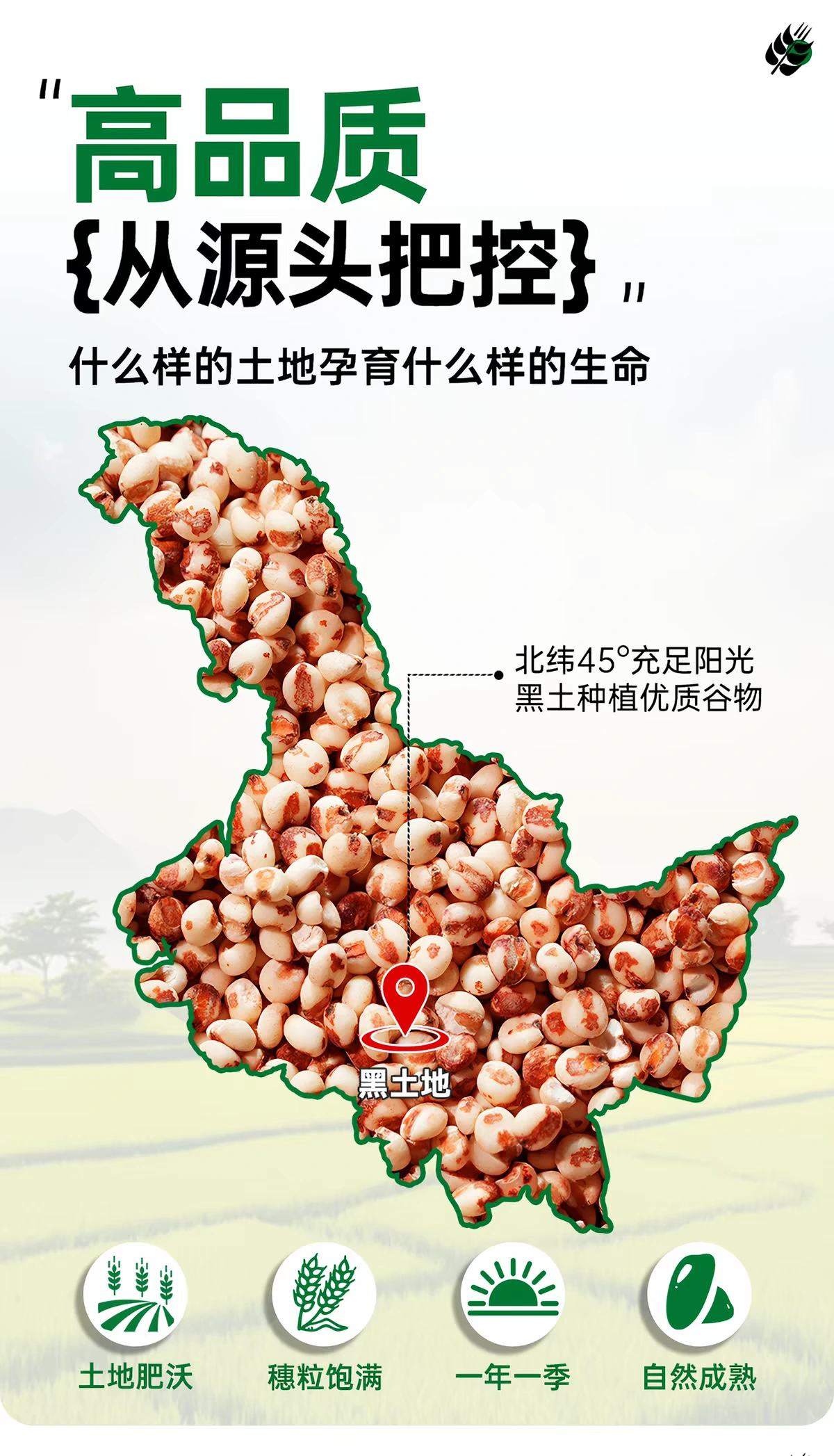 东北红高粱米 · 详情图 3