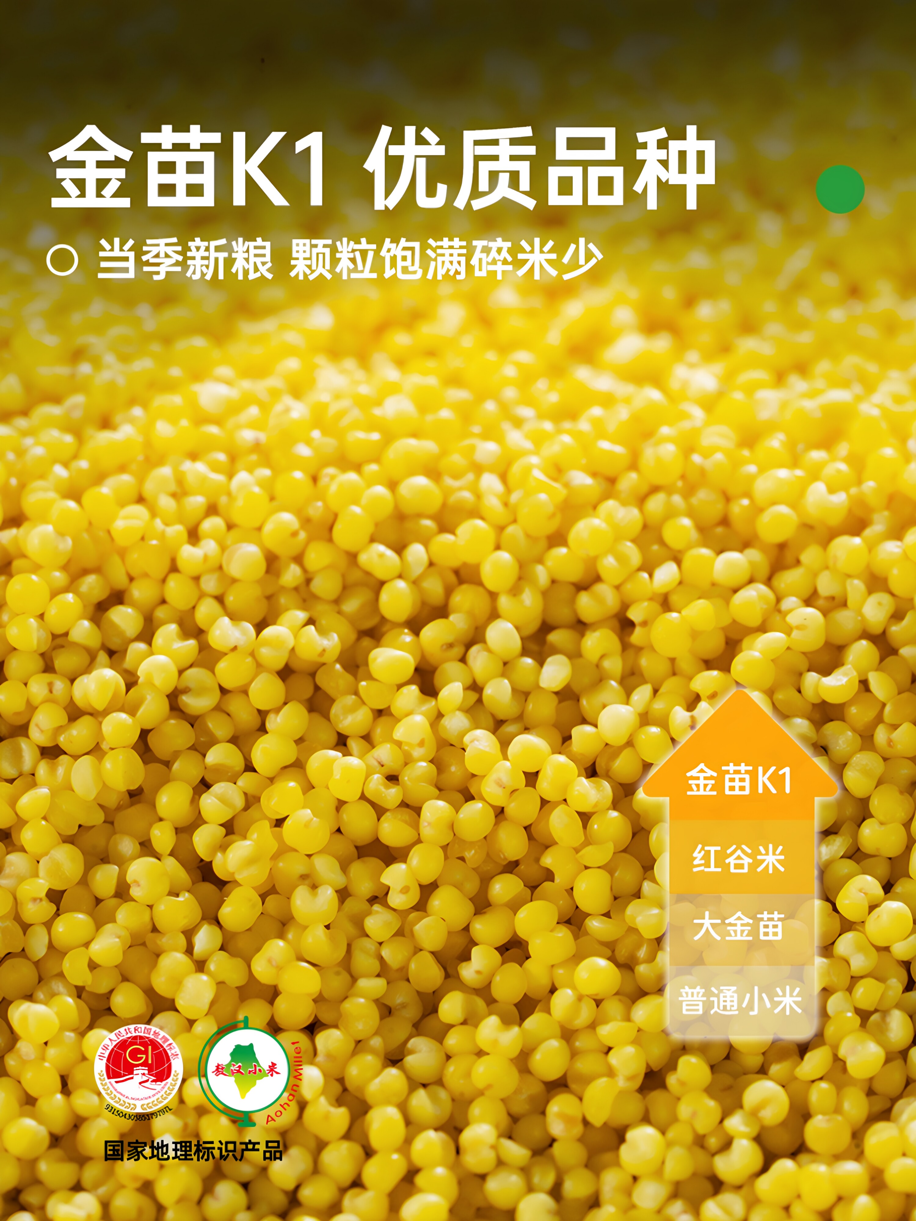 敖汉黄小米 · 详情图 4